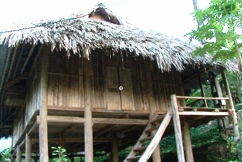 Thú chơi nhà sàn gỗ cổ: Phá rừng và làm nghèo bản sắc văn hóa