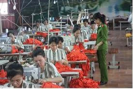 Cuộc đời éo le của một nữ phạm nhân