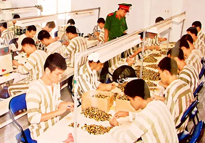 Cha mẹ chia tay, tôi gục ngã trở thành kẻ cướp