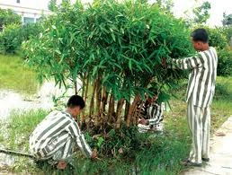 Nghe tin chết người, sát nhân tuổi teen bước không nổi