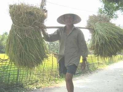 Những người đàn ông không lấy vợ vì... nghèo và sĩ