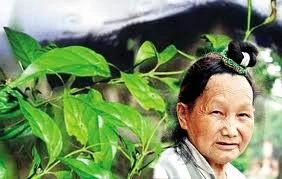 Người bà tàn độc giết chồng, con gái và cháu nội bằng lá ngón