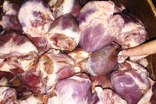 Phát hiện hơn 1 tạ tim lợn đông lạnh đã mốc xanh