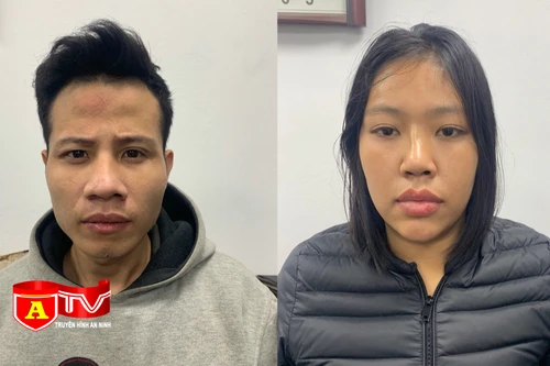 Truy xét bắt giữ 2 đối tượng trộm cắp tài sản
