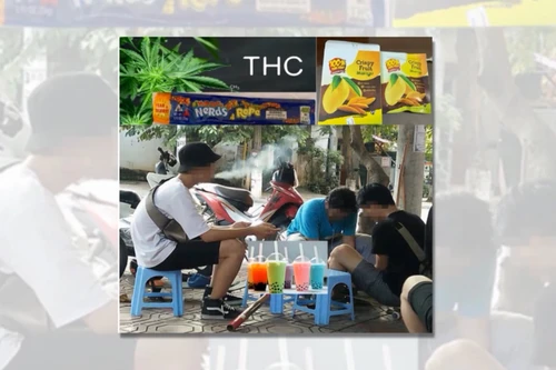 Cảnh báo ngộ độc cần sa do trà trộn trong thực phẩm