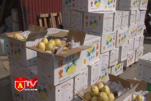 Phát hiện vụ vận chuyển gần 4 tấn hoa quả nhập lậu