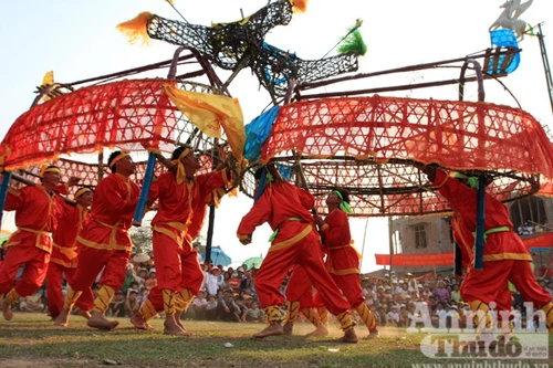 Xem trận đấu voi quyết liệt ở xứ Thanh