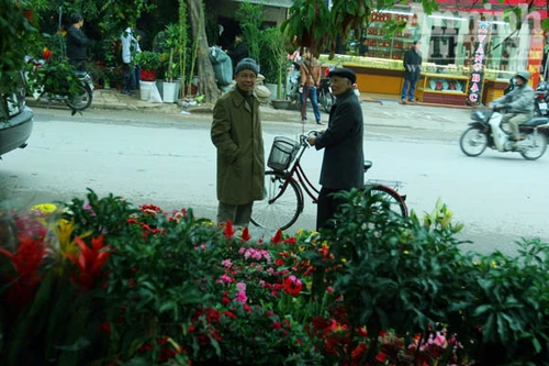 Ngó qua chợ phiên, thấy xuân sắc đã về