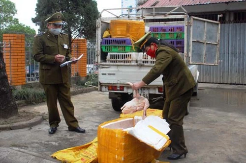 Tịch thu 700 kg gia cầm nhập lậu