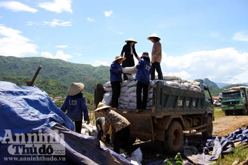 “Vàng trắng” nơi ải Bắc