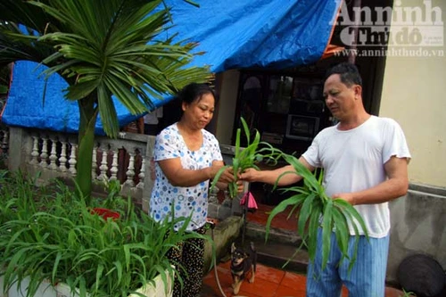 Kiếm tiền tỷ ư? dễ ợt!