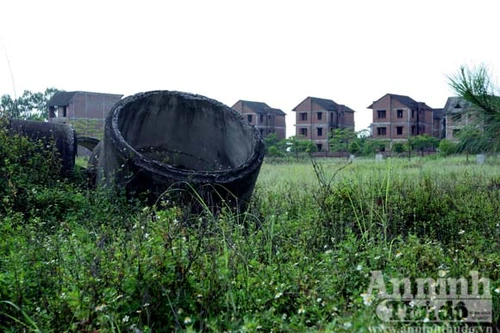 "Thú chơi": Xây biệt thự tiền tỷ để…nuôi cỏ dại.