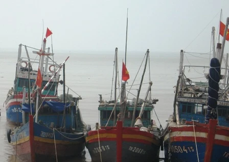 Yêu cầu 46.800 tàu thuyền vào bờ trú tránh bão số 8 