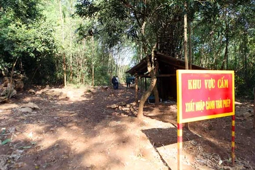 Tiến sâu vào hang bắt "cọp” trong đêm