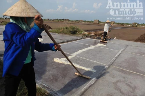 Những giọt mồ hôi trên dải cát trắng
