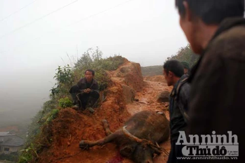 Mùa đông này sẽ có 4- 5 đợt rét đậm, rét hại