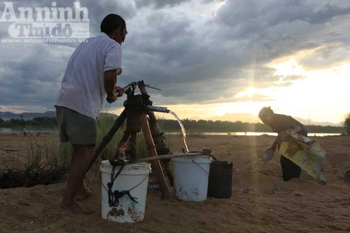 Gieo mầm sống trên triền cát