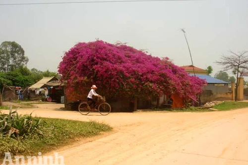 "Cô" Đích kỳ tài "bắt" được... 30 nghìn con ma