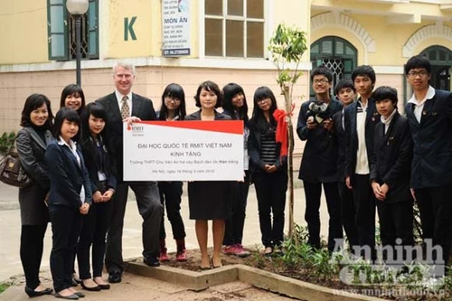 Bạch đàn Úc trên đất Việt Nam