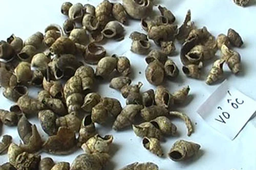 Phát hiện 400 di vật khảo cổ