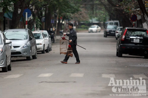 Nâng mức thu phí vỉa hè, lề đường 