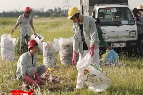Intechpharm đổ hàng nghìn hộp dược phẩm ra cánh đồng