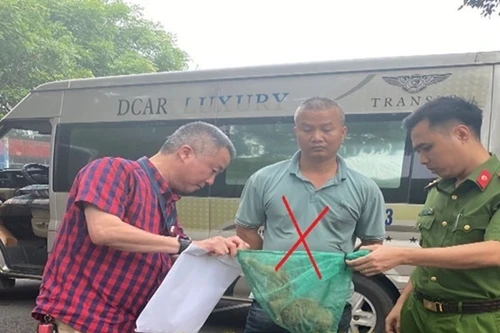 Bắt giữ nam tài xế liên quan đến gói hàng đặc biệt vận chuyển từ Khánh Hoà ra Hà Nội 