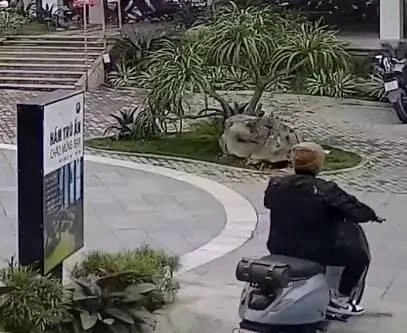 Cơ quan Công an xác minh vụ nam bảo vệ bị hành hung vì đưa vé 'số xấu' cho khách 