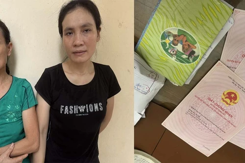 Chủ trang trại cây ăn quả cho nhiều người vay tiền với lãi suất cao