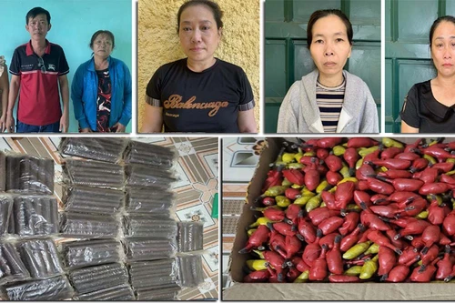 Thủ đoạn tinh vi của đường dây mua bán trái phép vật liệu nổ