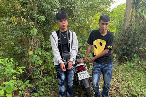 Bộ đôi từ Hà Nội lên Vĩnh Phúc gây ra hàng loạt vụ 'ăn hàng'