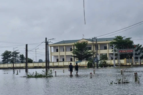 Những hình ảnh ngoại thành Hà Nội ngập trắng trong nước lũ