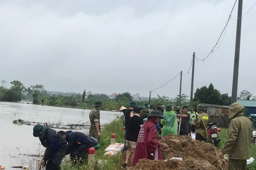 Ngoại thành Hà Nội khẩn trương đắp đê chống lũ tràn