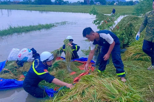 Công an huyện Mỹ Đức hỗ trợ nhân dân khu vực ngập lụt