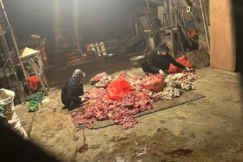 Phát hiện cơ sở sản xuất chế biến mỡ động vật trên sàn nhà, không đảm bảo vệ sinh