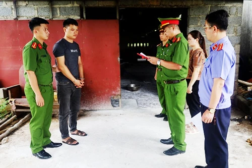 Thu gom lợn nhiễm bệnh rồi mang đi tiêu thụ