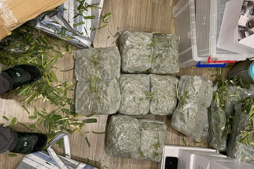 Bắt 10 đối tượng mua bán hơn 200 kg cần sa bằng tiền ảo