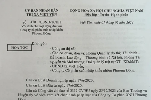 Công ty nhôm Phương Đông bị phạt 215 triệu đồng