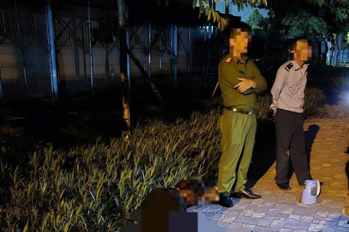 Nửa đêm trèo lên trụ điện cắt trộm dây cáp và cái kết đắng