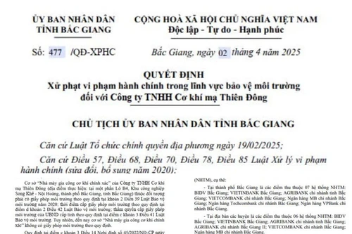 Xử phạt Công ty TNHH Cơ khí mạ Thiên Đông hoạt động không có giấy phép môi trường