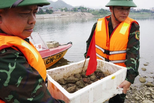 Trục vớt 26 vật nổ tồn sót sau chiến tranh dưới lòng sông Đà