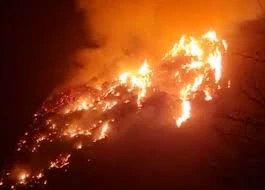 Huy động lực lượng khống chế cháy rừng tại Vườn quốc gia Ba Vì