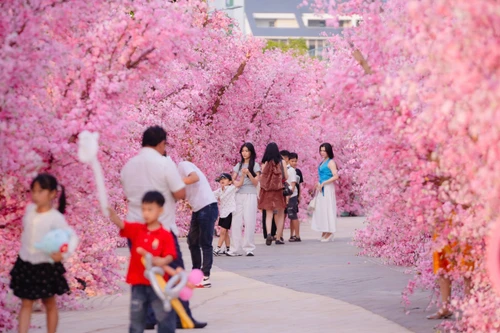 Hàng nghìn lượt khách dự sự kiện "Ice cũng có Tết 2025" tại Meyhomes Capital Phú Quốc