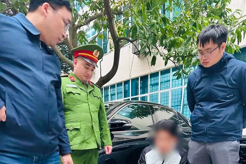 Thu giữ 30 cá thể rùa quý hiếm