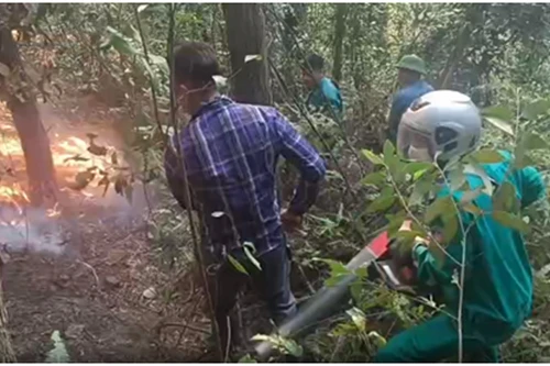 Nâng cao ý thức, trách nhiệm trong công tác phòng cháy, chữa cháy rừng