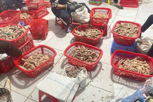 Phát hiện gần 4 tấn chân gà và xúc xích không rõ nguồn gốc 