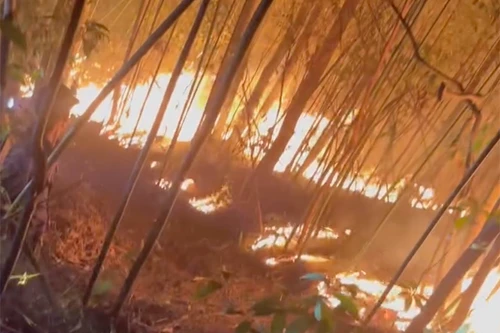 Cháy rừng tự nhiên tại Khe Rỗ, tỉnh Bắc Giang