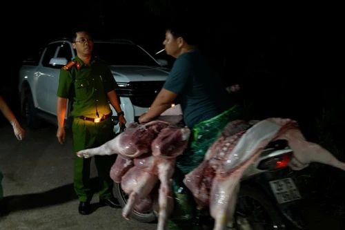 Công an Hà Nội triệt phá đường dây giết mổ, tiêu thụ thịt lợn nhiễm dịch tả châu Phi