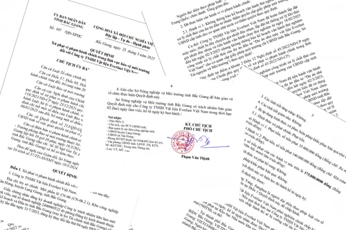 Xử phạt 175 triệu đồng đối với Công ty TNHH Vật liệu Everlast Việt Nam