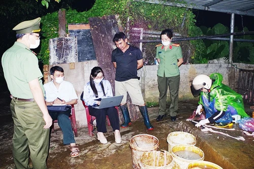 Ngăn chặn số lượng lớn thịt mắc dịch tả lợn châu Phi chuẩn bị tiêu thụ